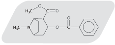 cocaine_structure